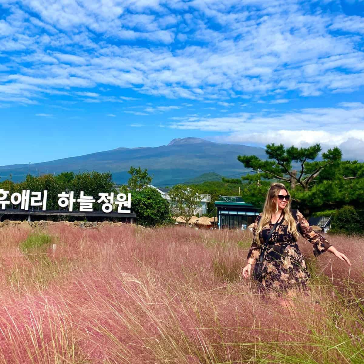Jacqui, a young female traveler, standing in a field of pink flowers with a korean sign in Jeju Island, South Korea.